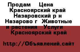 Продам! › Цена ­ 200 - Красноярский край, Назаровский р-н, Назарово г. Животные и растения » Услуги   . Красноярский край